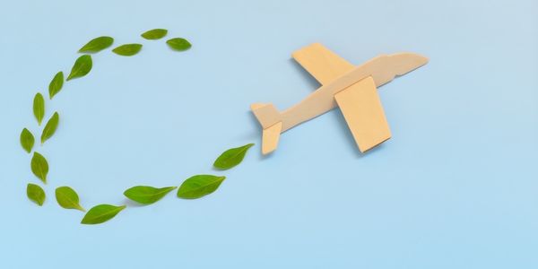 sustainable flight standards